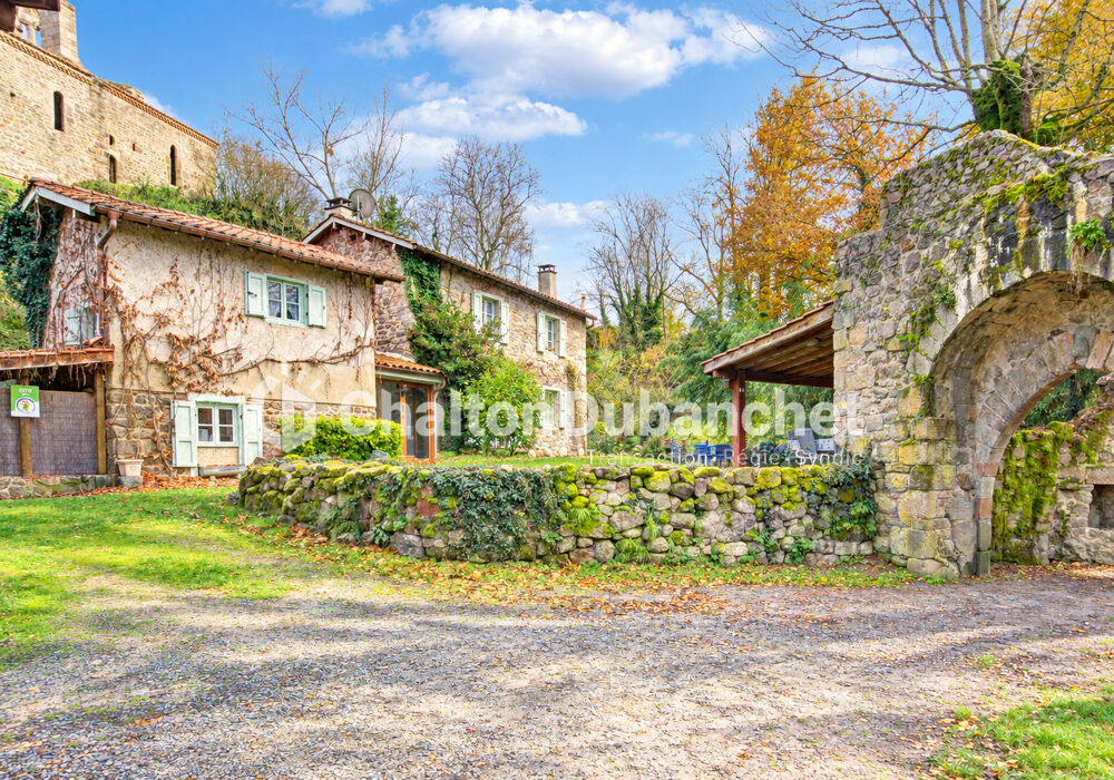 Vente Villa Demeure de prestige Salt En Donzy 7 pièces 155 m2 Feurs