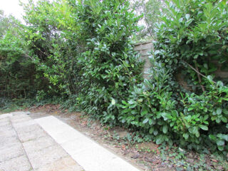  Appartement � louer 3 pi�ces 64 m�