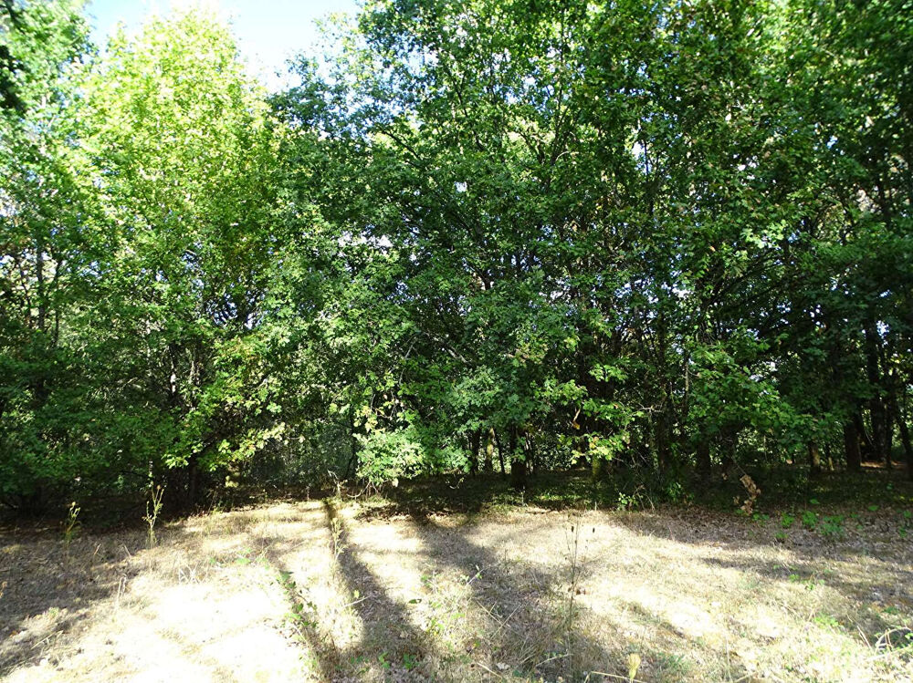 Vente Terrain Terrain Saint Laurent Des Hommes 5000m2 (dont 1400m² constructibles) Saint laurent des hommes