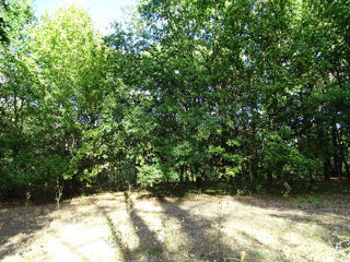 Terrain à vendre 5000 m²