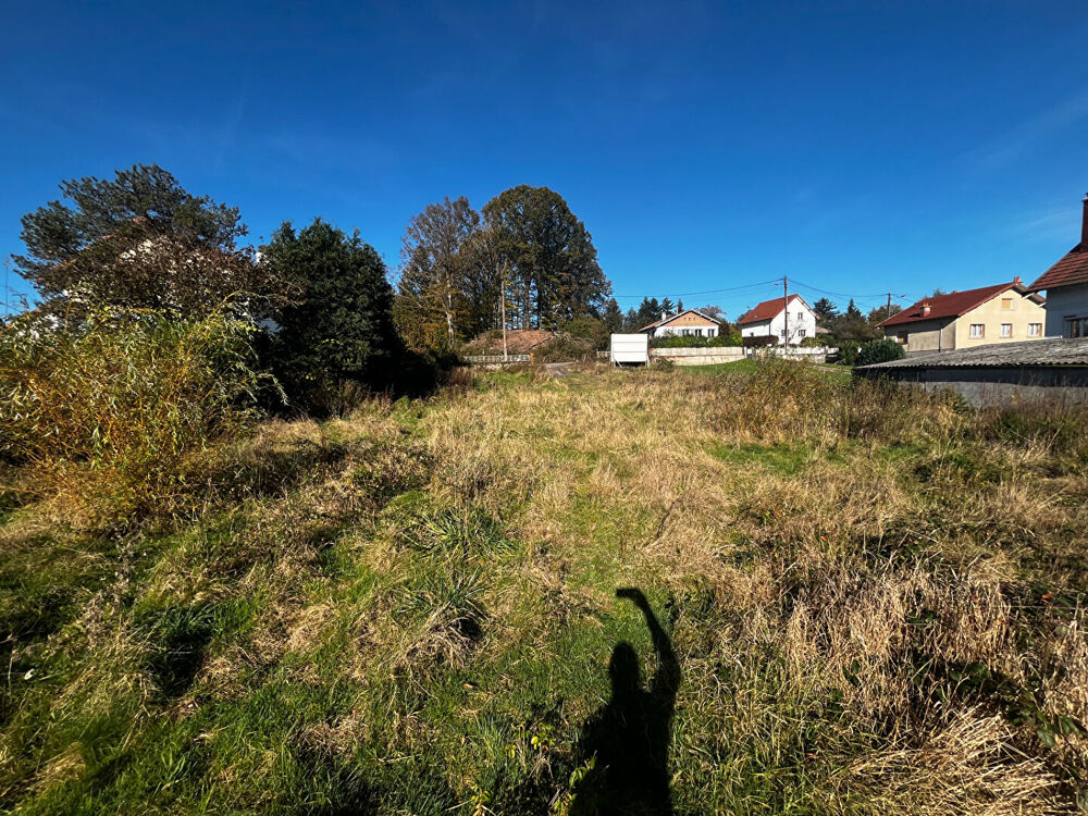 Vente Terrain Terrain constructible viabilisé de 1900 m2 Chantraine