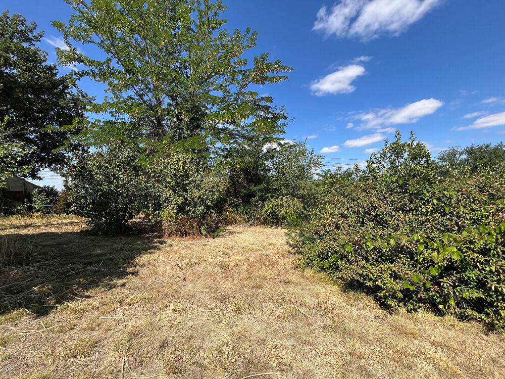 Vente Maison Maison Rouffiac 6 pièce(s) 165 m2 Rouffiac