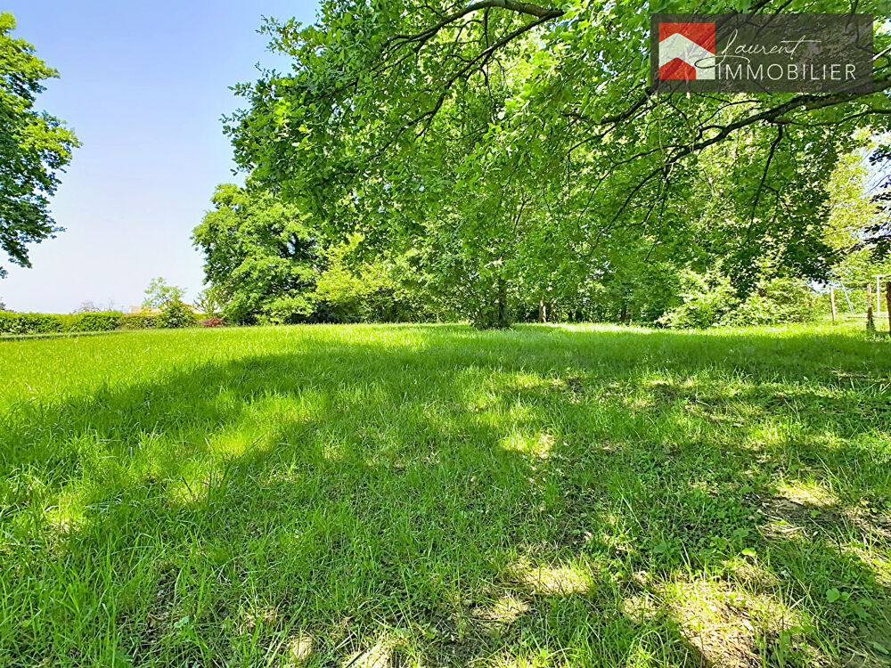 Vente Terrain Terrain arboré de 2526 m² à Allériot -180 000 Alleriot