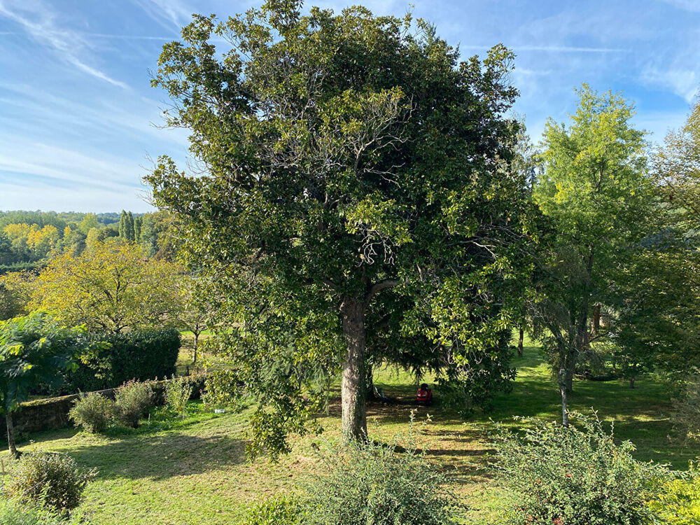 REGION BRANTOME Maison St Pierre De Cole 7 pièce(s) 220 m2