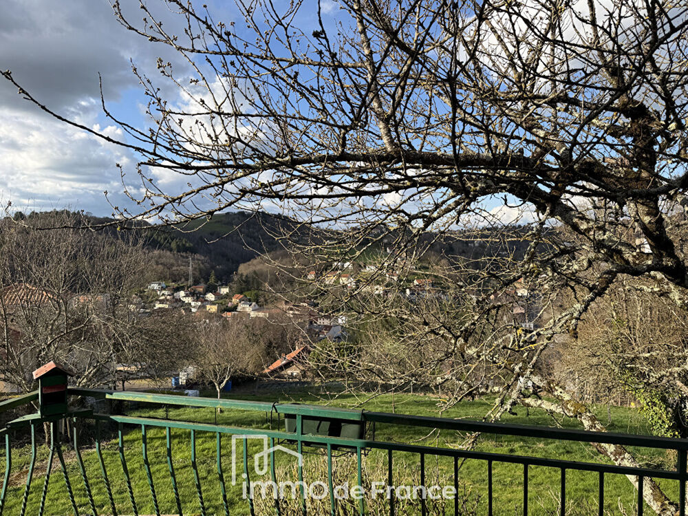 Vente Maison Decazeville Maison T4 avec sous-sol ,véranda et jardin-EXCLUSIVITE- Decazeville