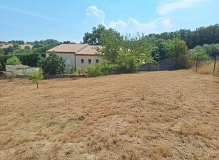  Terrain à vendre 1000 m²