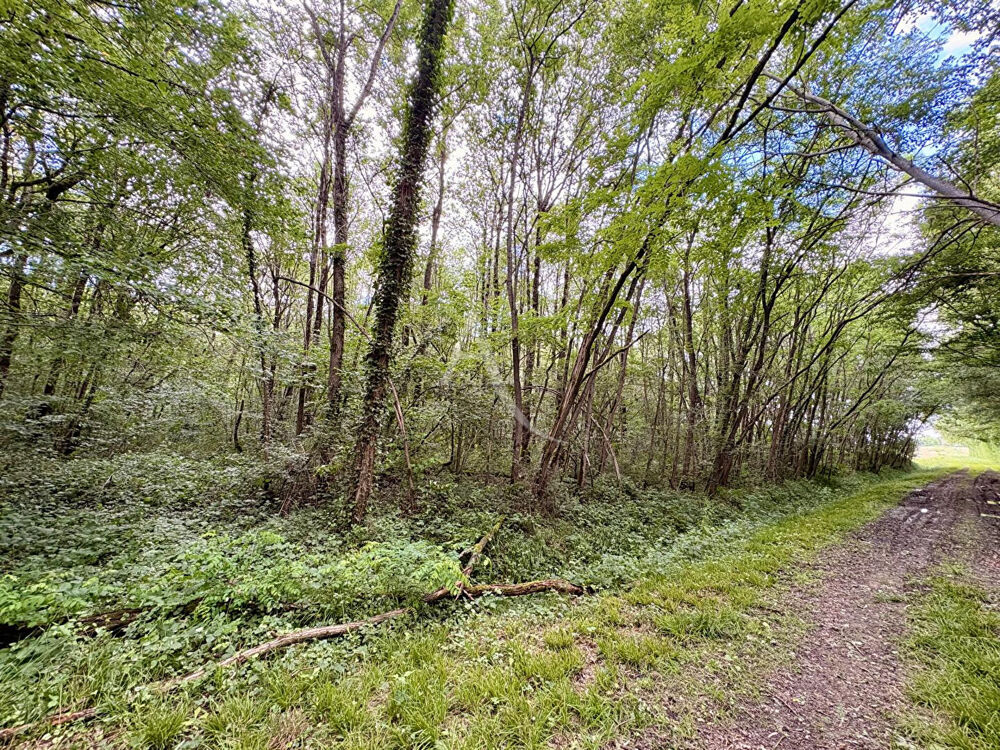 Vente Terrain Domaine forestier Le Plessis Grammoire Le plessis grammoire