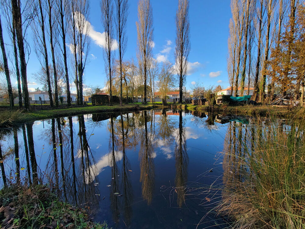 Vente Terrain Terrain constructible - Lege 2500 m2 Lege