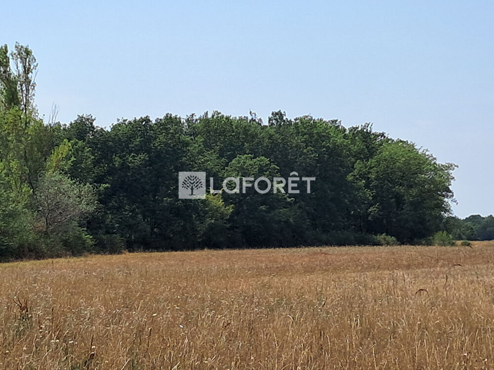 Vente Terrain Montjoire, terrain agricole Montjoire