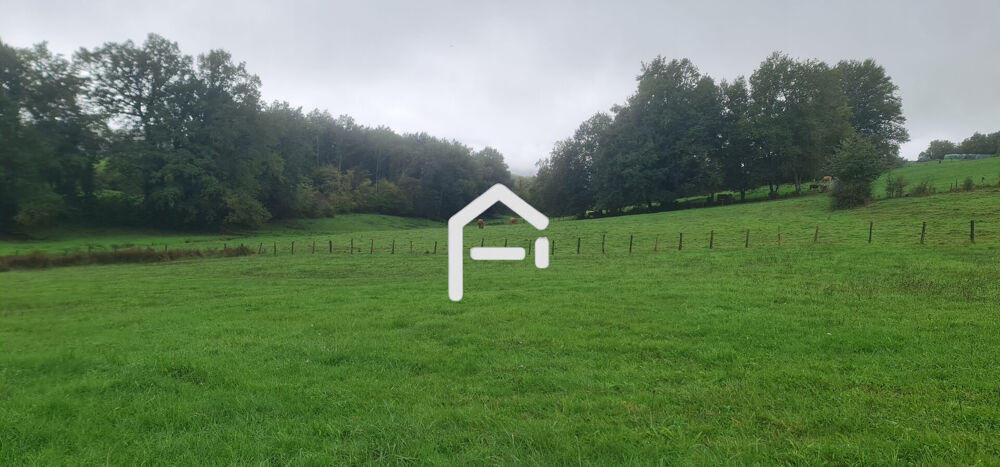 Vente Terrain Terrain Allassac 2099 m2 Allassac
