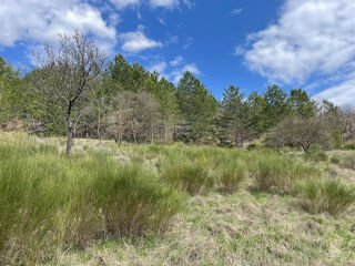  Terrain  vendre 5420 m