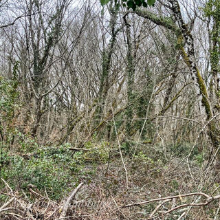  Terrain � vendre 5914 m�