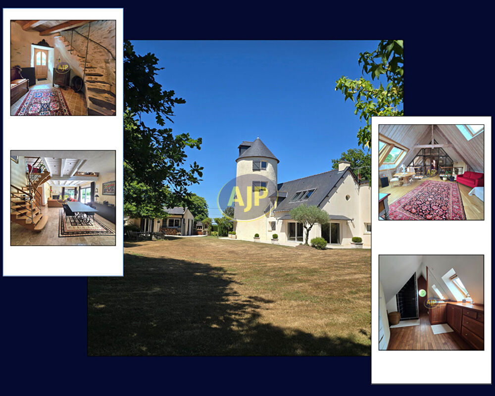 PLESSE - bien d'exception 6 chambres