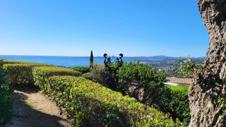  Appartement � vendre 2 pi�ces 36 m�