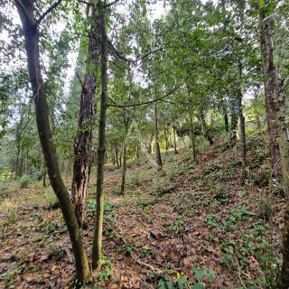  Terrain  vendre 2050 m