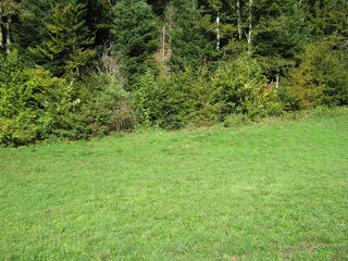 Terrain � vendre 800 m�