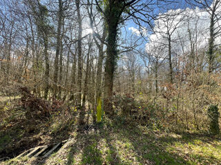  Terrain  vendre 21866 m