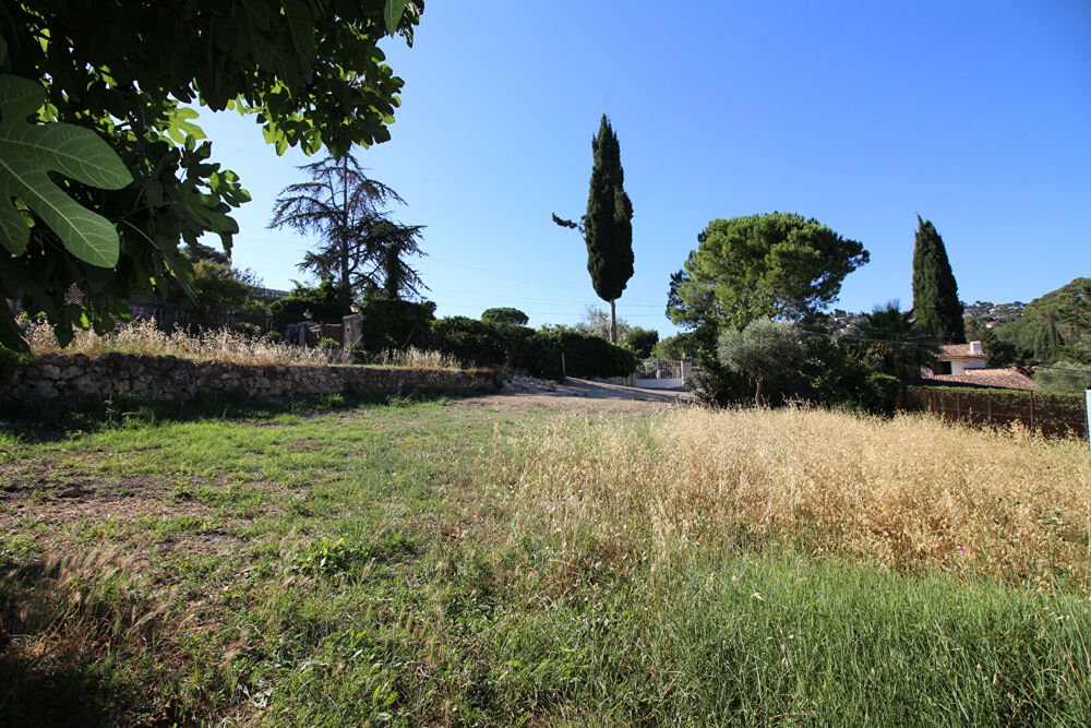 Vente Terrain MOUGINS - TERRAIN Mougins