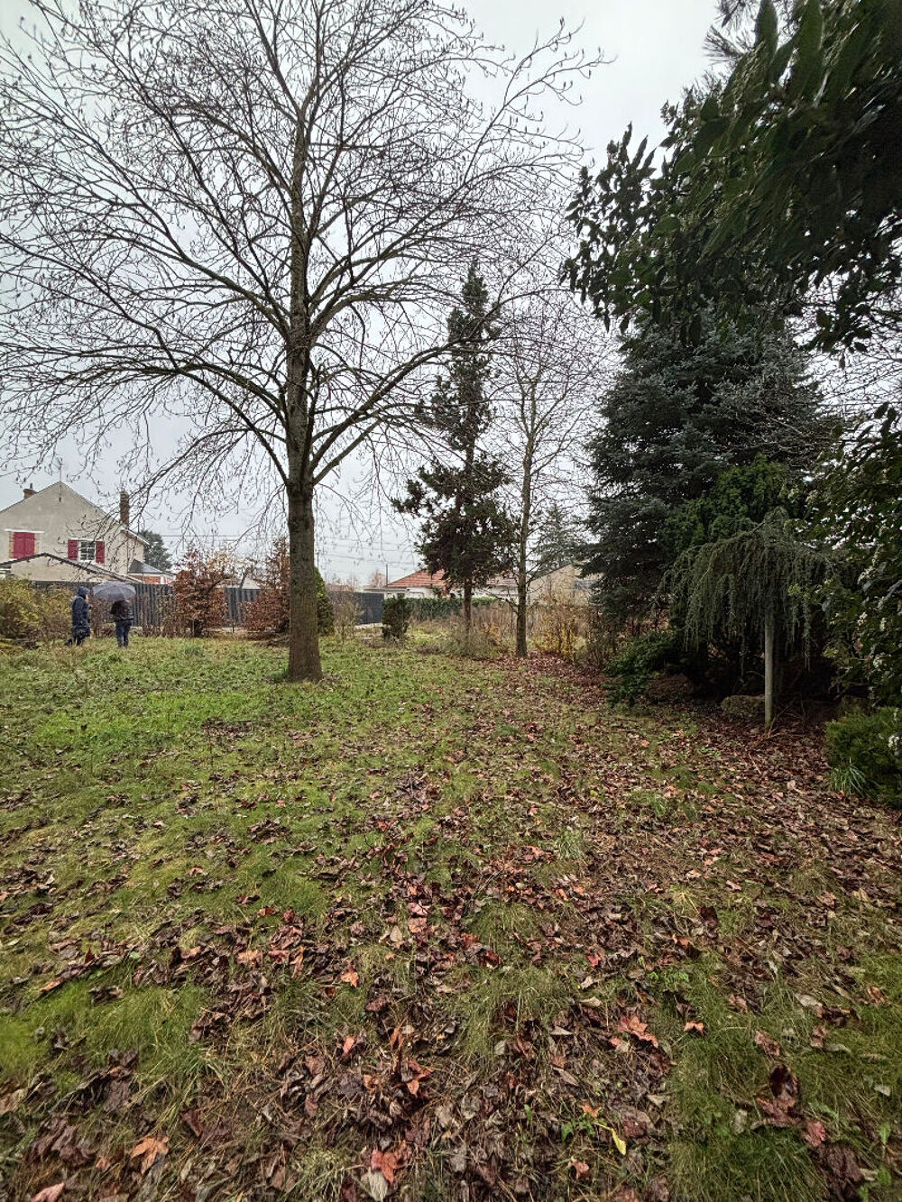 Vente Terrain Terrain � fort potentiel, Saint Jean De Braye Saint jean de braye