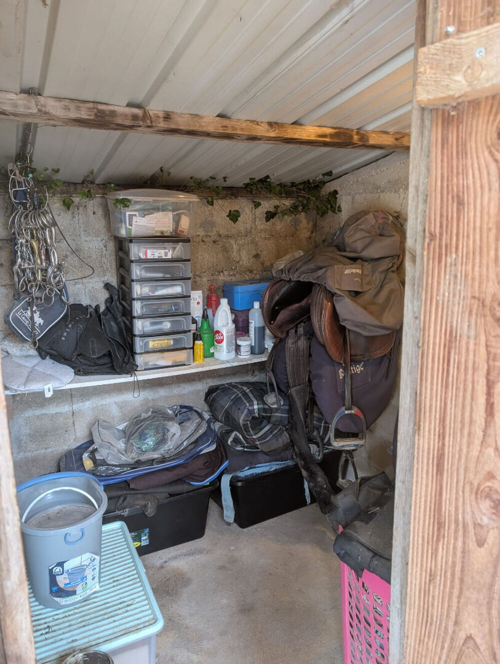 Propriété equestre Le Plessis Grohan 5 pièce(s) 144 m2