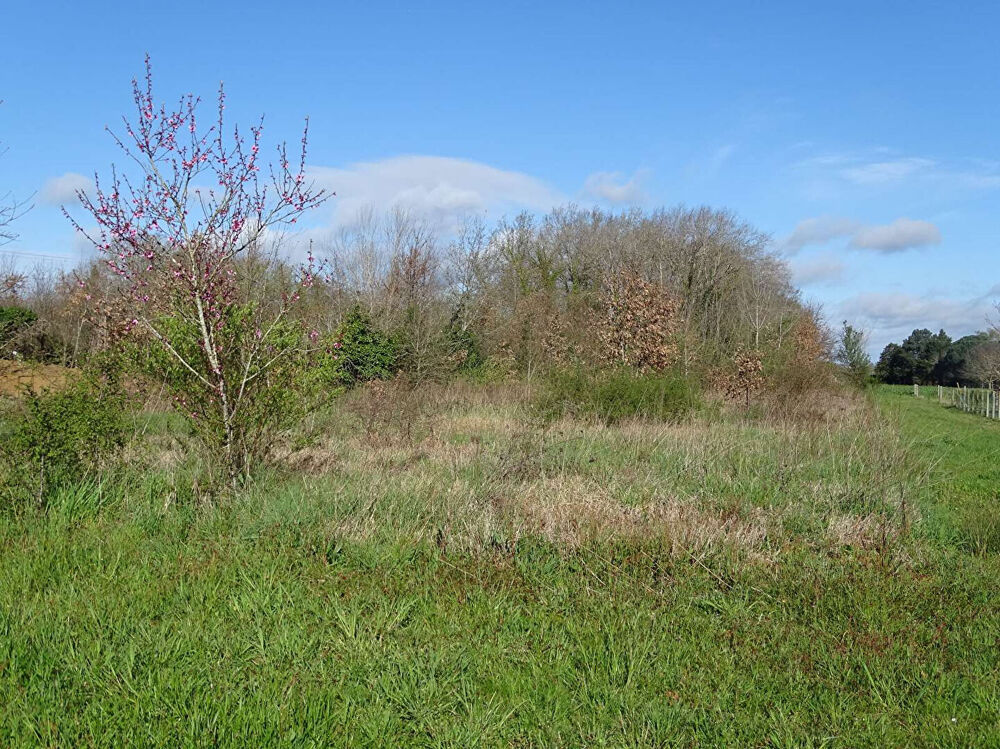 Vente Terrain Terrain Saint Médard De Mussidan 2745 m2 Saint medard de mussidan