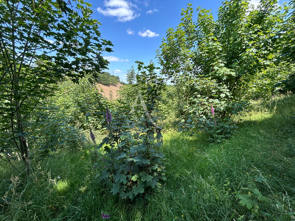 Vente Terrain Terrain de loisirs - Chateau-Gontier-sur-Mayenne Chateau gontier sur mayenne