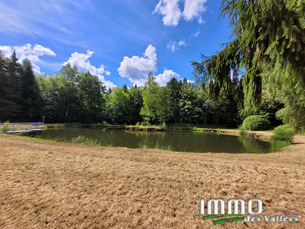 Vente Maison Maison de caractère avec étang et terrain de 57 600 m² Fresse sur moselle