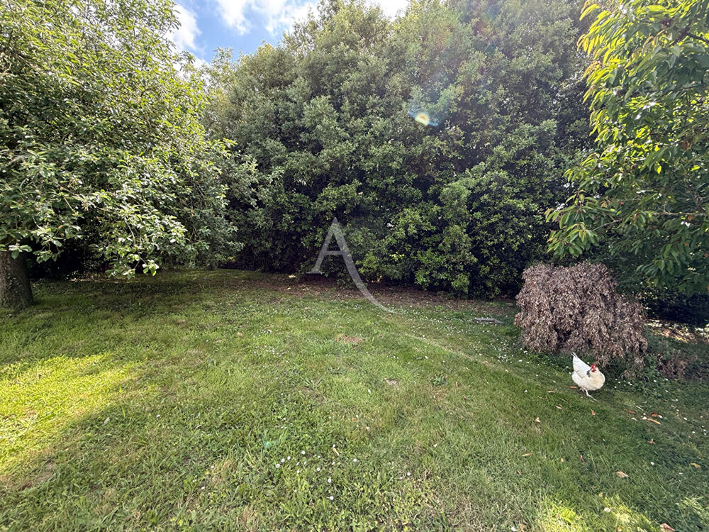 Vente Terrain 1269 m² - Vue 3