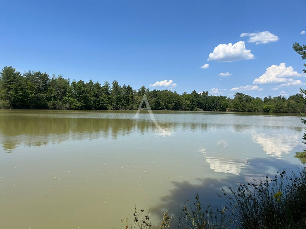 Vente Terrain Territoire de chasse avec étang en Sologne Salbris