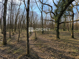  Terrain à vendre 3482 m²