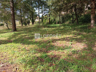  Terrain à vendre 21568 m²