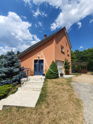 Vente Maison MAISON D'ARCHITECTE À VENDRE À SAINT JULIEN SUR CHER St julien sur cher