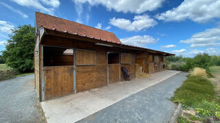  Maison à vendre 15 + pièces 250 m²