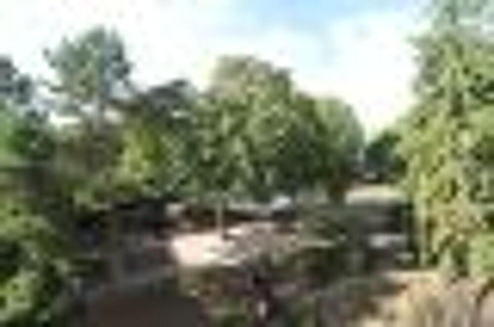  vendre  Appartement Suresnes (92150)