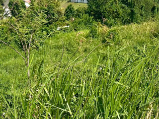  Terrain � vendre 900 m�