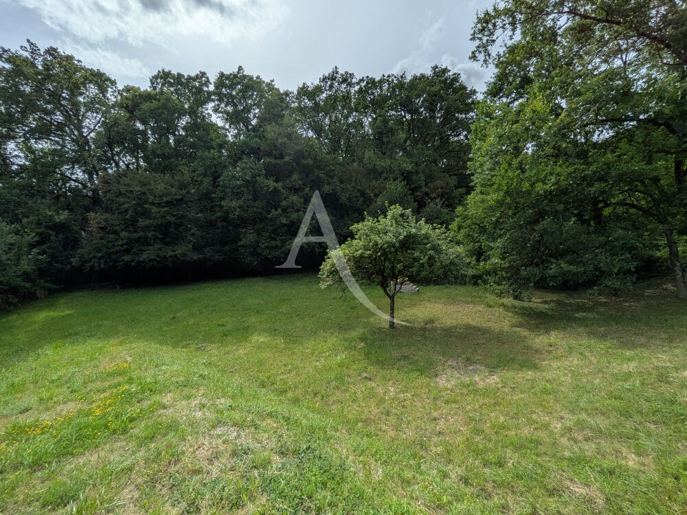 Vente Terrain ONZAIN - 20 KMS DE BLOIS - 20 KMS D AMBOISE Veuzain sur loire