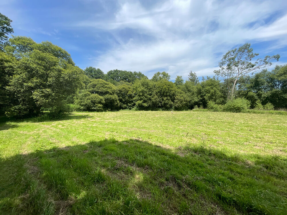 CÔTES D'ARMOR: Proche Callac. Longère en pierre de 4 chambres, gîte, 4,5 ha de terrain et étang de loisirs.