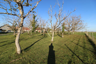  Terrain à vendre 980 m²
