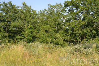  Terrain � vendre 1748 m�