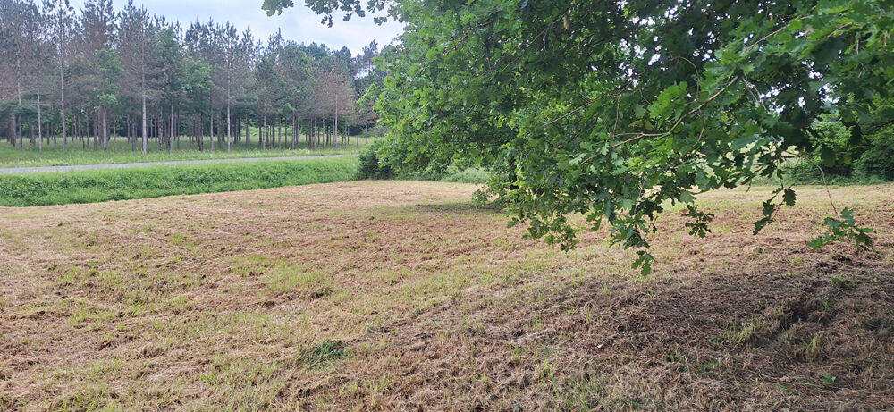Vente Terrain Terrain Beauronne 1219 m2 Beauronne