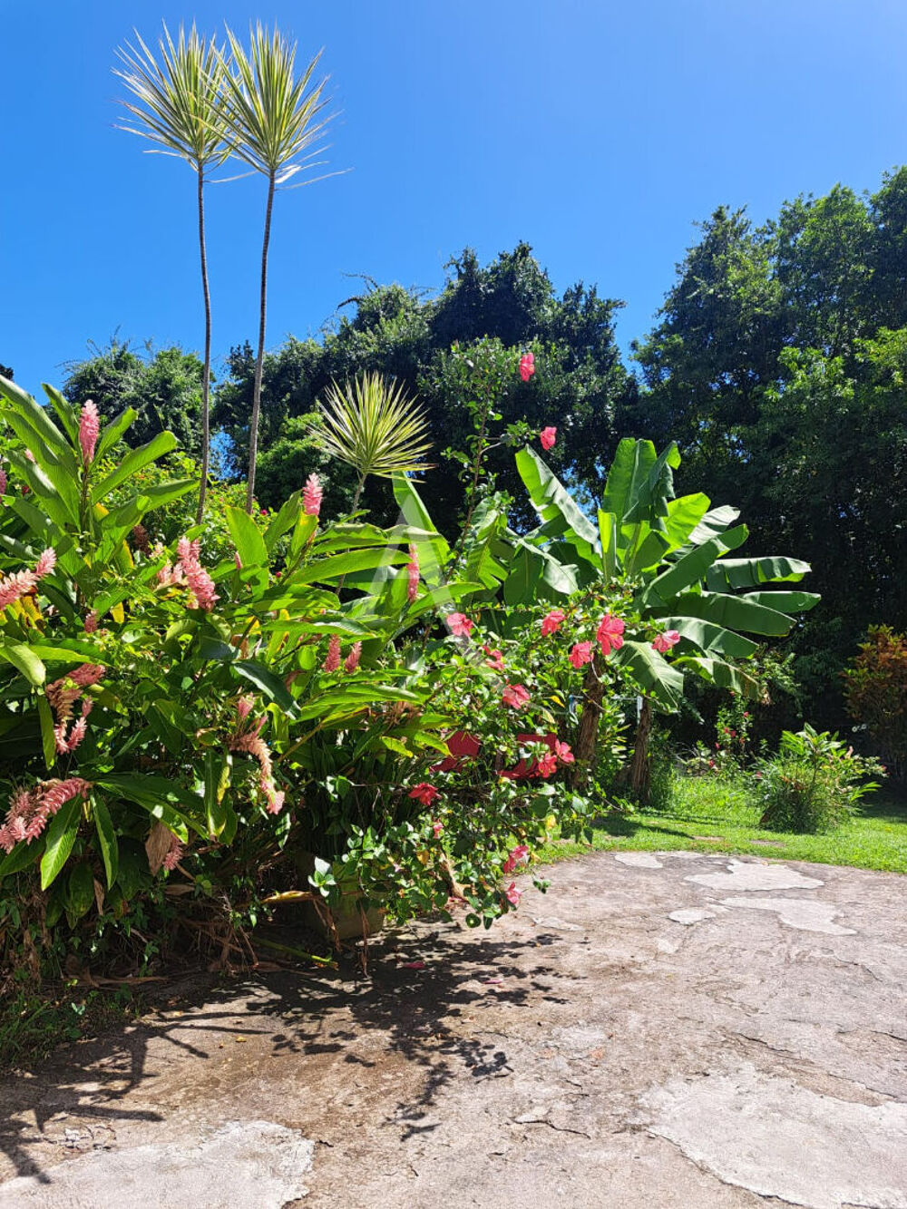 � vendre  Maison La Trinit� (97220)