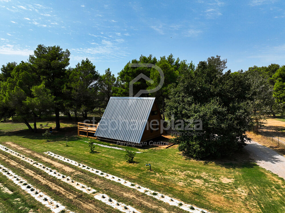 à vendre  Maison Saint-Cyprien (66750)