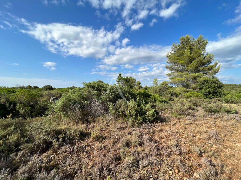 Vente Terrain Terrain Juvignac 5029 m2 Juvignac