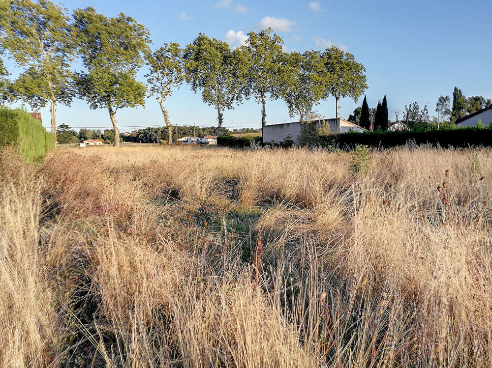 Vente Terrain Terrain Brens 1947 m2 Brens