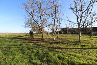  Terrain  vendre 980 m