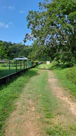  Terrain � vendre 7351 m�