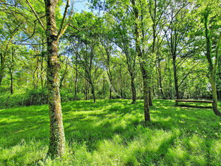  Terrain à vendre 6105 m²