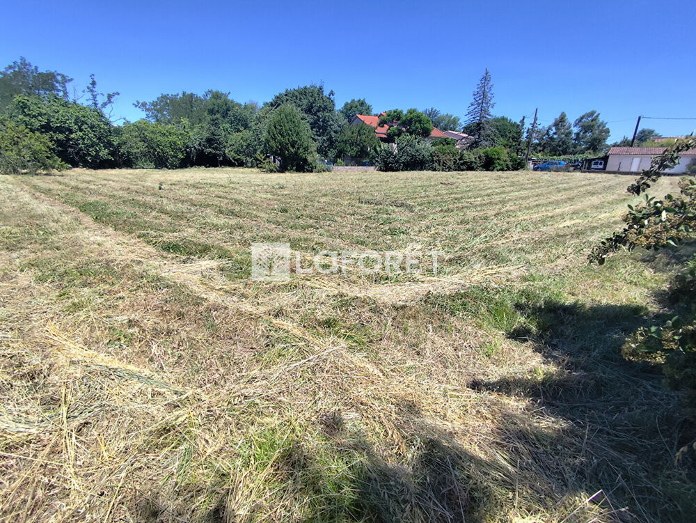 Vente Terrain LESCURE D'ALBIGEOIS Lescure d albigeois