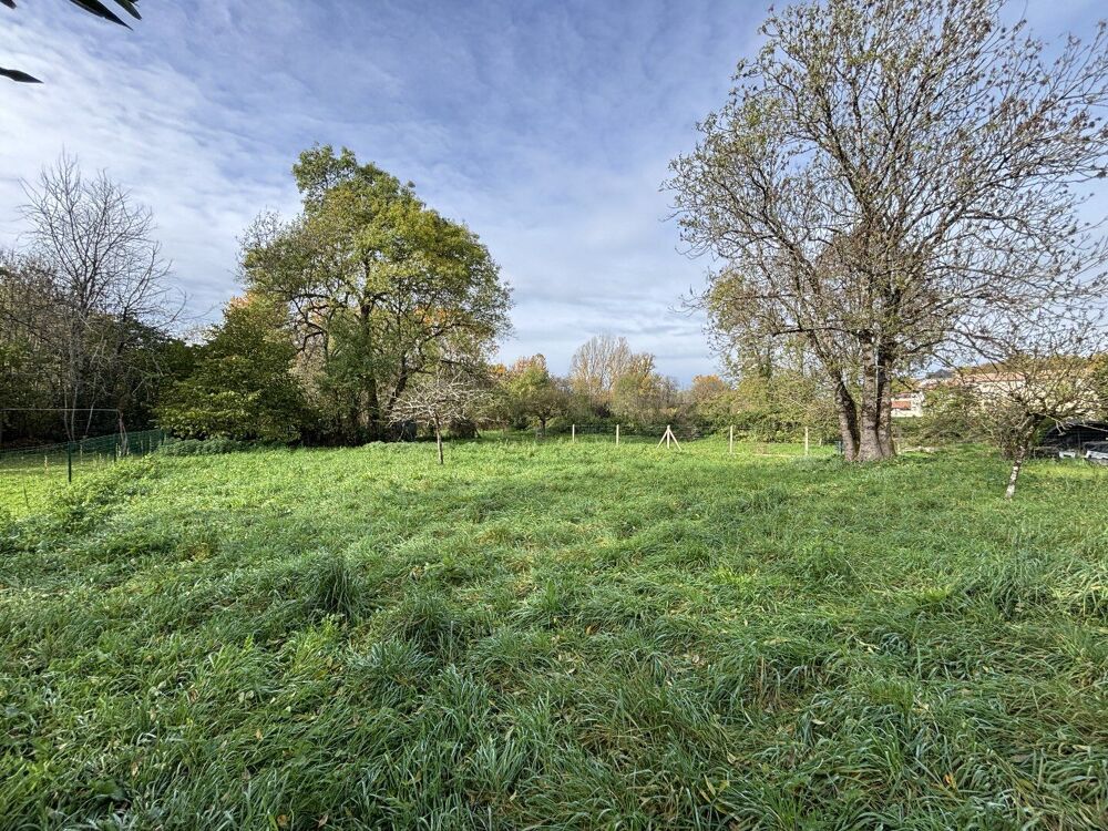 Vente Maison Une maison de caractère avec potentiel d'agrandissement, jardin attenant et garages. Vouharte