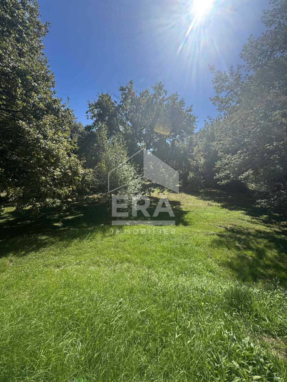 Vente Maison Maison individuelle Montpon Menesterol 24700 24610 saint meard de gurcon Montpon menesterol